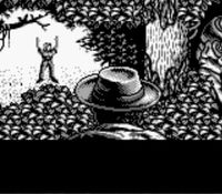 une photo d'Ã©cran de Jurassic Park sur Nintendo Game Boy